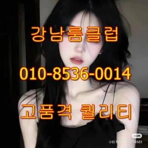 강남식스시스템